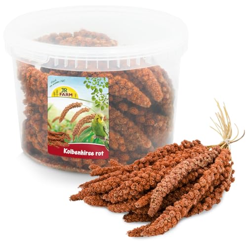 JR FARM Birds Kolbenhirse rot im Eimer 500 g von JR Farm