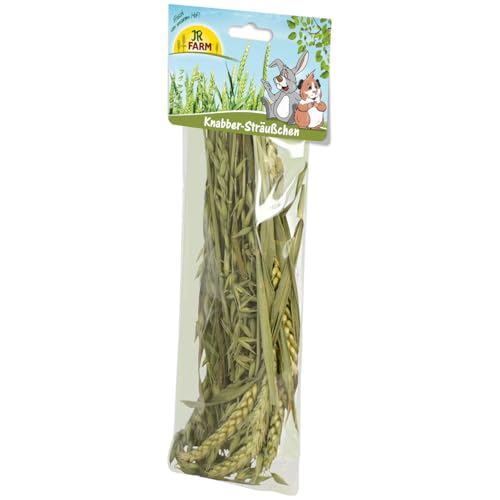 JR FARM Knabber-Sträußchen 25 g von JR Farm