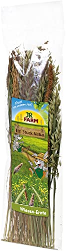 JR FARM ESN Wiesen-Ernte 80 g von JR Farm