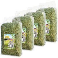 JR Farm Bergwiesen-Heu 4x2,5kg von JR Farm