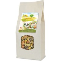 JR Farm JR Garden Legepower-Frühstück 1 kg von JR Farm