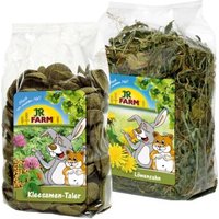 JR Farm Kleesamen-Taler und Löwenzahn Set 500g von JR Farm