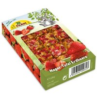 JR Farm Nagolade Nager-Tafel Erdbeere 125 g von JR Farm