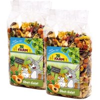 JR Farm Obst Salat 2x600 g von JR Farm