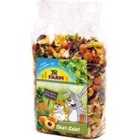 JR Farm Obst Salat 600 g von JR Farm