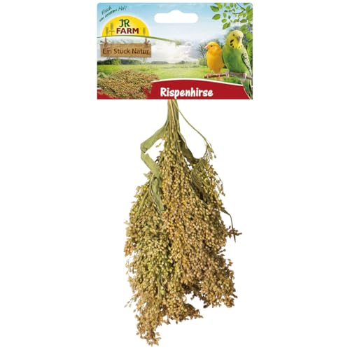 JR FARM Birds Rispenhirse 100 g von JR Farm