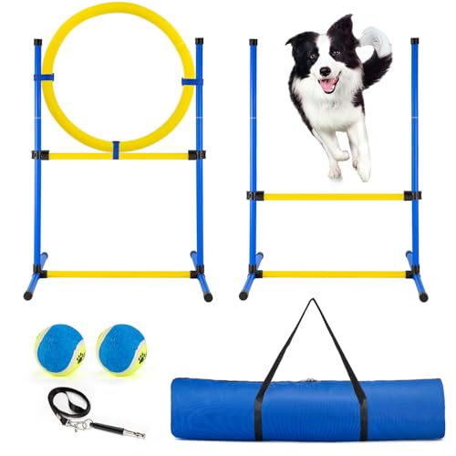 JRUICFDY Agility-Trainingsgerät für Hunde, Agility-Kurs, Hinterhof-Set, Hindernislauf für Haustiere im Innen- und Außenbereich, mit Agility-Hürde, Sprungring, Spielzeugbällen und Aufbewahrungstasche von JRUICFDY