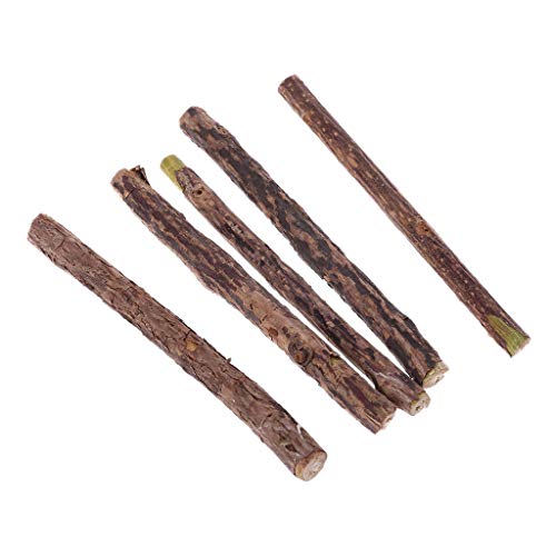 JSGHGDF 5 Stück Natürliche Polygonum Sticks Die Zahnreinigung Molaren Snacks Silvervine Chew Dental Care von JSGHGDF