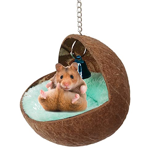 JSGHGDF Hängende Hängematte Muschelbett Schaukelhaus Plüschunterlage Dawf Hamster Golden B von JSGHGDF