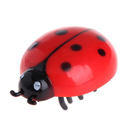 for Cat Teaser Interactive Electronic/Cicada Auto Walking for Pet for Cat Kitten von JSGHGDF