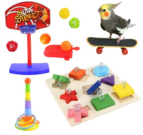 JSLZF Vogelspielzeug, Sittich Holzblock Spielzeug, Vogel Basketball Spielzeug, Papagei Skateboard, Vogel Stapelspielzeug für Papagei Wellensittiche Nymphensittiche Finken von JSLZF