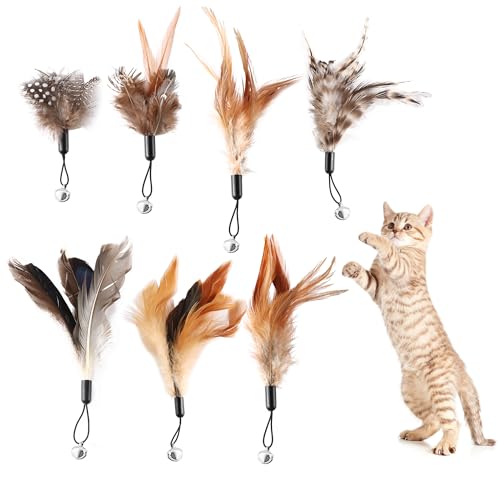 JSMTKJ 8 Stück Cat Feather Toys Ersatz Katzen Federspielzeug für Katzen ohne chemische Farbstoffe Federstab Katze Spielzeug mit Glocken für natürliche Katzenfedern von JSMTKJ