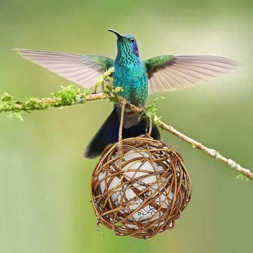 Vogel-Nistkugelmaterial für Wildvögel Handgemachtes Vogelhaus und Vogelhausmaterialien Kolibri Nest Vogelnestmaterial von JSNKJLMN