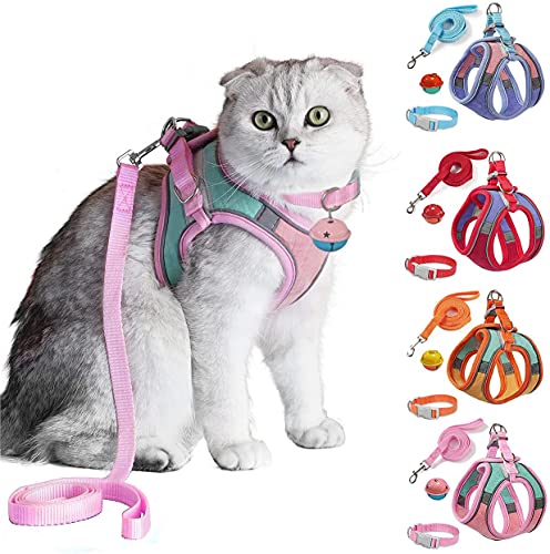 JSXD Katzengeschirr, Leine und Halsband Set, ausbruchsicher, Kätzchen-Weste zum Gehen, einfache Kontrolle, Nachtsicher, passend für Welpen, Kaninchen von JSXD