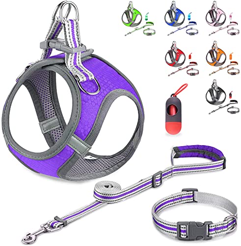 JSXD Kleines Hundegeschirr, Welpengeschirr, verstellbare Leine und Halsband-Set für kleine Hunde, Step-in-Hundegeschirr, 3M-reflektierende Haustier-Hundeweste für kleine,54 cm, Violett von JSXD