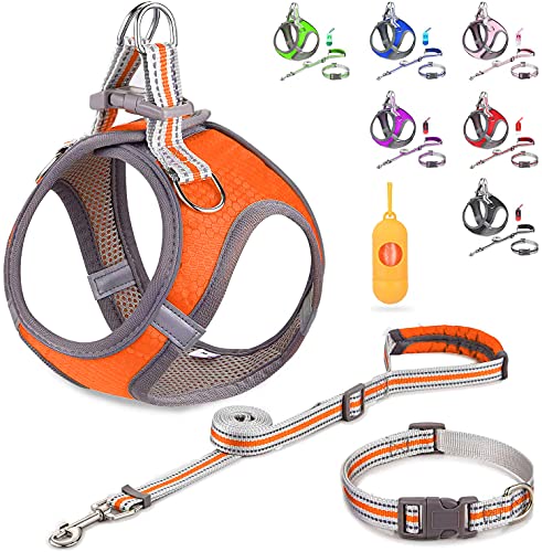 JSXD Kleines Hundegeschirr, Welpengeschirr, verstellbare Leine und Halsband-Set für kleine Hunde, Step-in-Hundegeschirr, Brustumfang 32–36 cm, Orange) von JSXD