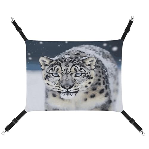 JTKBNVM Blue Eyed Snow Leopard Katzenhängematte Haustierhängematte Frettchen Hängematte Katzenhängematte für große Katzen Hamster Hängematte Weiches Hängebett Katzenhängematte Hängematte Bett von JTKBNVM