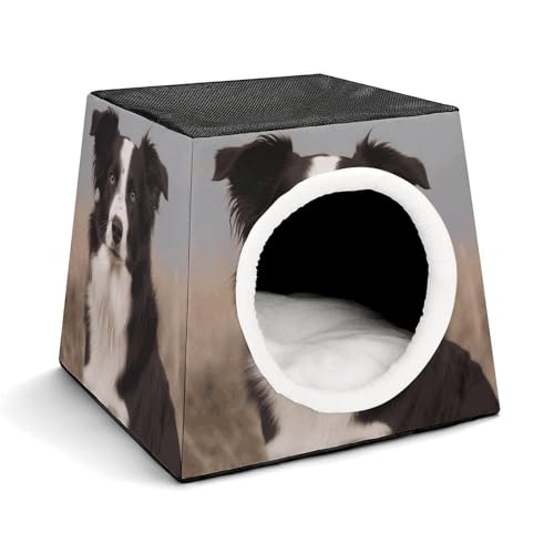 Capsule Pet Waterloo Border Collie Printed Foldable Dog House Cat Cave Soft Kitten Bed Warm Rabbit Nest Chinchillas Hideout for Indoor Small and Medium Animal von JTKLQBN