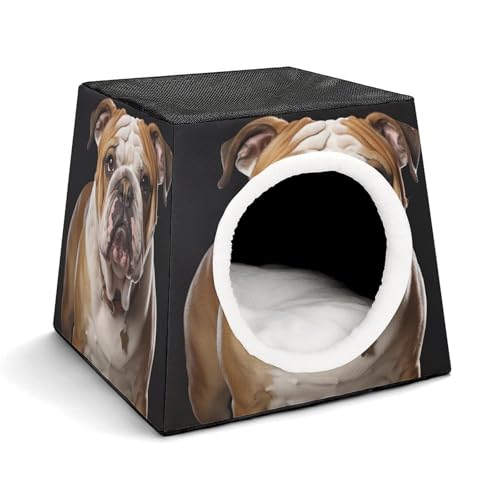 Capsule Pet Waterloo Englische Bulldogge Bedruckte Faltbare Hundehütte Katzenhöhle Weiches Kätzchenbett Warmes Kaninchennest Chinchillas Versteck für kleine und mittelgroße Tiere im Innenbereich von JTKLQBN