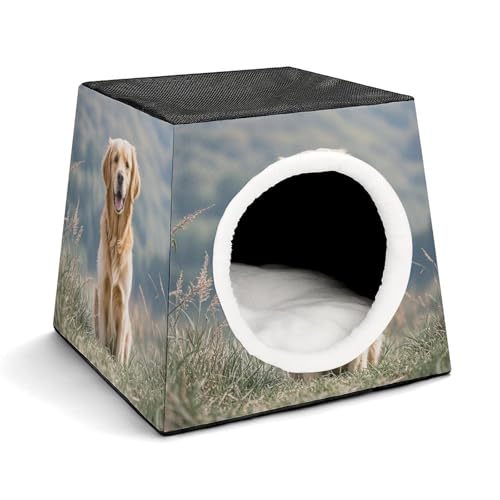 Capsule Pet Waterloo Golden Retriever Hund Bedruckt Faltbares Hundehaus Katzenhöhle Weiches Kätzchenbett Warmes Kaninchennest Chinchillas Versteck für kleine und mittelgroße Tiere im Innenbereich von JTKLQBN