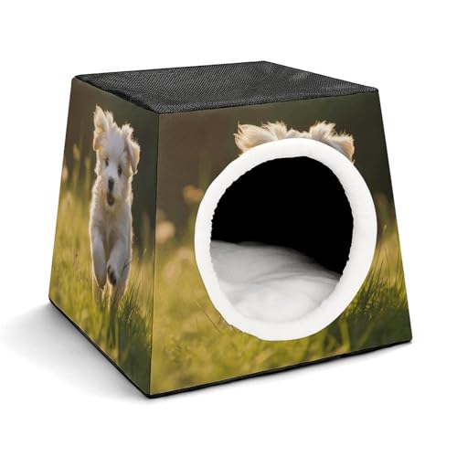 Capsule Pet Waterloo Puppy Crossing The Grass Printed Foldable Dog House Cat Cave Soft Kitten Bed Warm Rabbit Nest Chinchillas Hideout for Indoor Small and Medium Animal von JTKLQBN