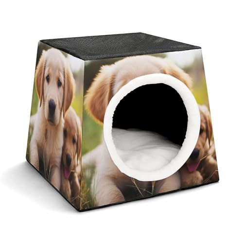 Capsule Pet Waterloo niedlicher Golden Retriever Welpe bedruckt faltbar Hundehaus Katzenhöhle weiches Kätzchenbett warmes Kaninchennest Chinchillas Versteck für kleine und mittelgroße Tiere im von JTKLQBN