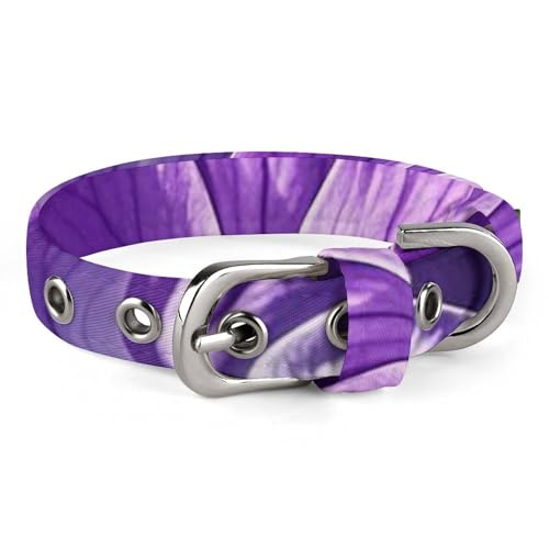 Hundehalsband, niedliches Welpenhalsband, Veilchen in Blüte, Hundehalsband für mittelgroße Hunde, kleine Hunde, weiches Katzenhalsband, Haustierhalsband mit verstellbarer Schnalle, 20 - 26 cm von JTKLQBN