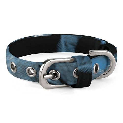 Hundehalsband, niedliches Welpenhalsband, schwarze Katze auf Baum, Hundehalsband für mittelgroße Hunde, kleine Hunde, weiches Katzenhalsband, Haustierhalsband mit verstellbarer Schnalle, 20 - 26 cm von JTKLQBN