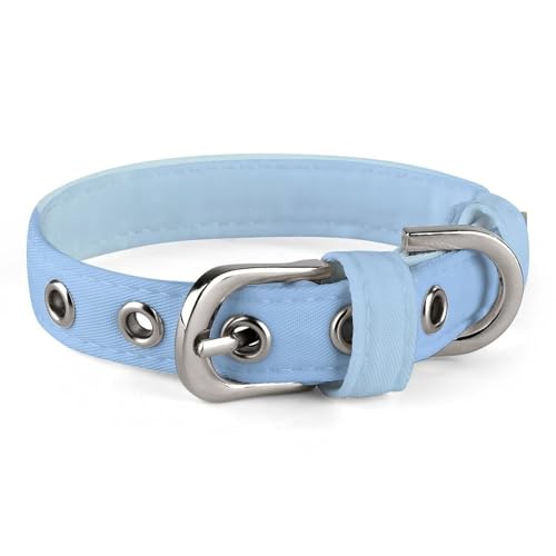 Hundehalsband, niedliches Welpenhalsband, süßes Nilpferd, Hundehalsband für mittelgroße Hunde, kleine Hunde, weiches Katzenhalsband, Haustierhalsband mit verstellbarer Schnalle, 20 - 26 cm von JTKLQBN