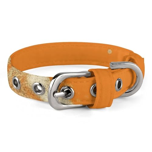 Hundehalsband Netter Welpenhalsbänder Schildkröte Schildkröte Springen Hund Halsbänder für Medium Hunde Kleiner Hund Halsband Weiche Katzenhalsband Pet Halsband mit Verstellbarer Schnalle 17,9 ~ 25,9 von JTKLQBN