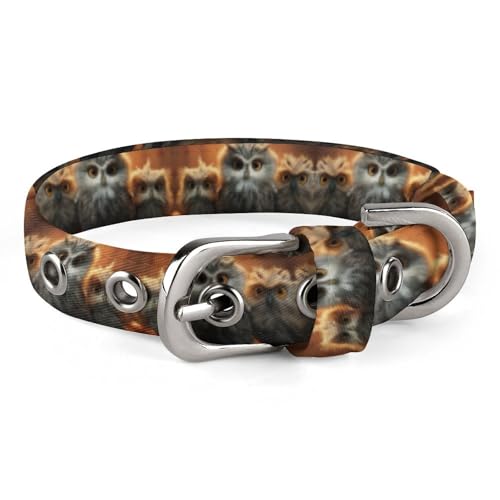 Hundehalsband mit niedlichem Eulen-Design, für mittelgroße Hunde, kleine Hunde, weiches Katzenhalsband, Haustierhalsband mit verstellbarer Schnalle, 20 - 26 cm von JTKLQBN