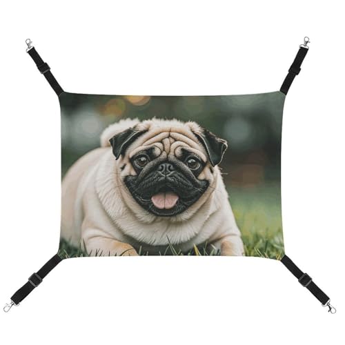 JTKLQBN Hängematte, Mops, Hunde, bedruckt, weiche Haustiermatte mit verstellbaren Riemen, atmungsaktive Hängematte für Katzen, Frettchen, kleine Hunde, Kaninchen, 42 x 33 cm von JTKLQBN