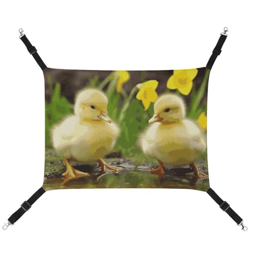 JTKLQBN Hängende Haustier-Hängematte, niedliche Enten, bedrucktes Bett, weiche Haustiermatte mit verstellbaren Riemen, atmungsaktive Hängematte für Katzen, Frettchen, kleine Hunde, Kaninchen, 42 x 33 von JTKLQBN