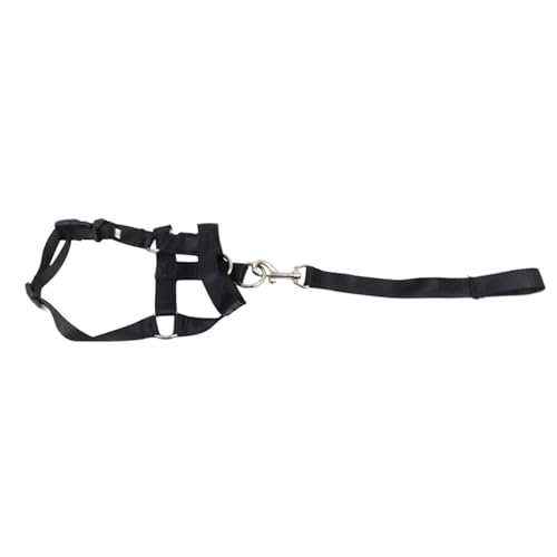 Maulkorb Hunde mit Abschleppseil, Verstellbarer Halsbandhalter Hunde, Verhindert Beißen, Bellen, Weglaufen (M) von JTLB