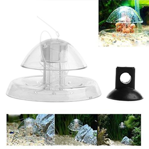 JTQYFI Clear Snail Aquarium Fische Für Panzerpflanzen Planarische Blutegel Fangumwelt Schneckenfalle Für Aquariumfische Für Panzer S von JTQYFI