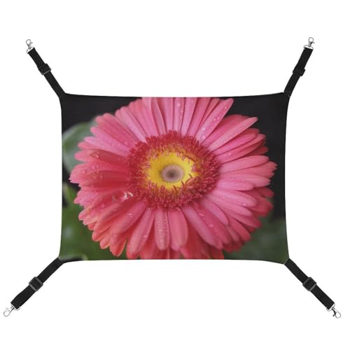 JTREHY Haustier-Hängematte, Blumen-Gerbera-Druck, verstellbar, hängendes Katzenbett für Katzen, kleine Hunde, Kaninchen oder andere Kleintiere, mit Metallhaken von JTREHY