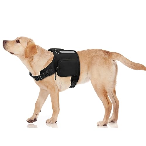 JUANWAN Hunde-Wanderrucksack für große und mittelgroße Hunde, verstellbar, mit Satteltasche für Camping, Wandern, Training, Nylon, mit Taschen (schwarz) von JUANWAN