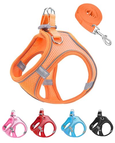 JUFOO Hundegeschirr und Leine, weiches Netzgewebe, kein Entkommen, leichtes Gehen, Welpengeschirr für Training, Spazierengehen, reflektierend, verstellbare Welpenweste für kleine, mittelgroße Hunde, JUFOO Hundegeschirr und Leine, weiches Netzgewebe, kein Entkommen, leichtes Gehen, Welpengeschirr für Training, Spazierengehen, reflektierend, verstellbare Welpenweste für kleine, mittelgroße Hunde, von JUFOO