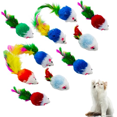 10 Pack Interaktives Katzenspielzeug maus Set, Bunte Mausspielzeuge mit Feder für Katzen, Vielfältige Farben, Langlebiges Spielzeug Kätzchen und ausgewachsene Katzen von JUGNAW