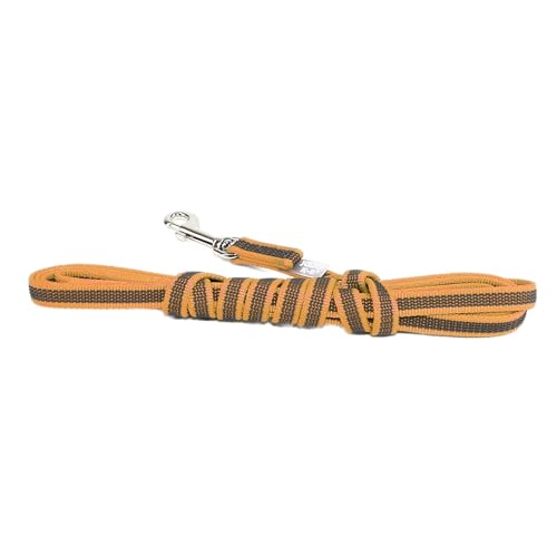 IDC Color & Gray gumierte Leine, 14 mm x 3 m mit Schlaufe, Orange-Grau von JULIUS K-9