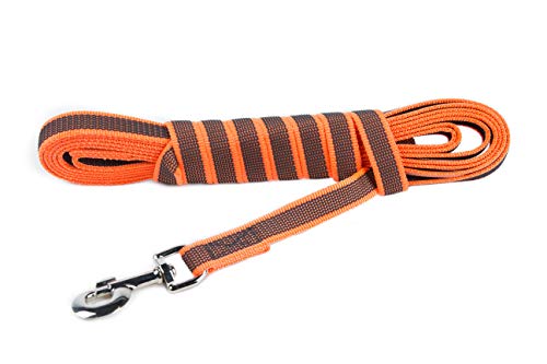 IDC Color & Gray gumierte Leine, 20 mm x 5 m mit Schlaufe, Orange-Grau von JULIUS K-9