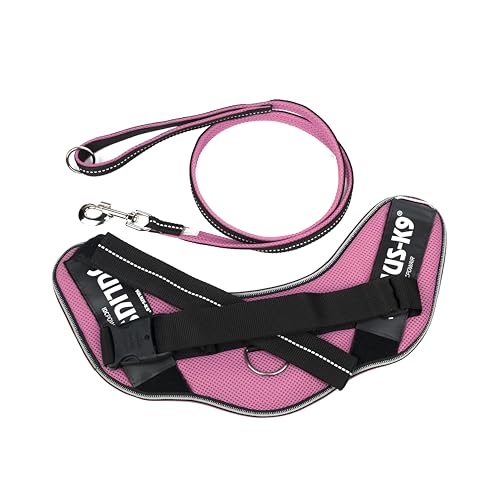 IDC Powair Bundle - IDC Powair Hundegeschirr, Größe: XL/2, Pink + IDC Powairleine, Größe: 1,2 m mit Schlaufe und mit großen Karabiner, Pink von JULIUS K-9