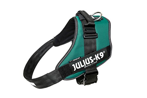 Julius-K9, IDC Powergeschirr, Größe: 3XL / 4, Dunkelgrün von JULIUS K-9