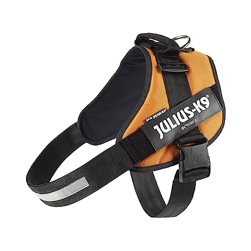 Julius-K9, IDC Powergeschirr, Größe: 3XL / 4, Kupferorange von JULIUS K-9