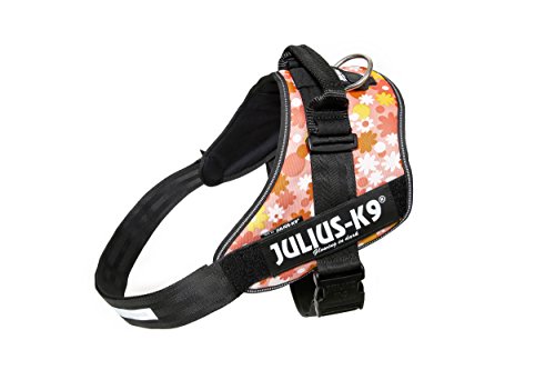 Julius-K9, IDC Powergeschirr, Größe: 3XL / 4, Pink mit Blumen von JULIUS K-9