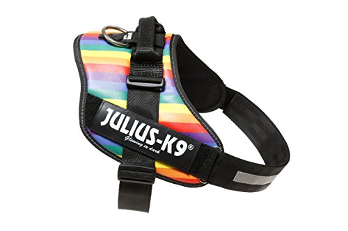 IDC Powergeschirr, Größe: 3XL/4, Regenbogen von JULIUS K-9