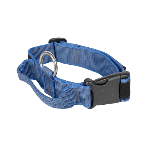 JULIUS-K9, 100HA-K-B-2015 Color & Gray K9-Halsband mit Haltegriff, Sicherheitsverschluss und Logo, 40 mm*38-53 cm, verstellbar, blau-grau von JULIUS K-9