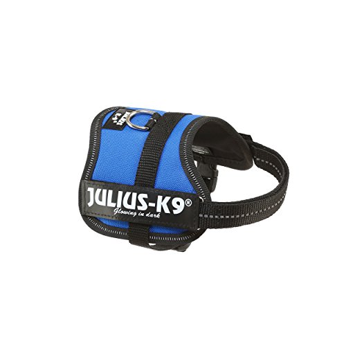 K9 Powergeschirr, Größe: 3XS/Baby 1, Blau von JULIUS K-9