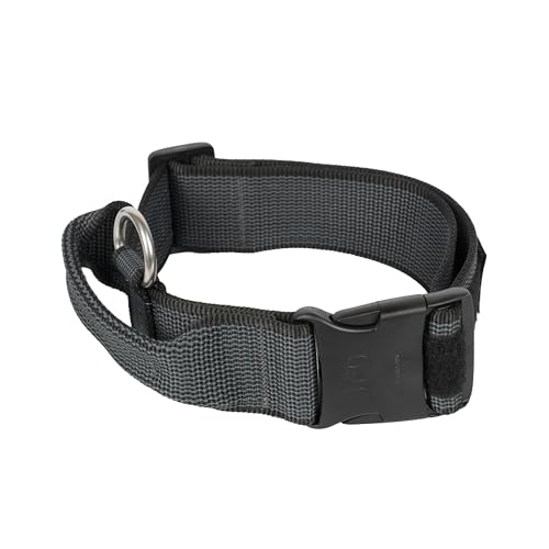 JULIUS K-9, 200HA-K-2015 Color und Gray series-K9-Halsband mit Haltegriff, Sicherheitsverschluss und Logo und Sicherheitsverschluss, 50 mm x 49-70 cm, verstellbar, schwarz-grau von JULIUS K-9