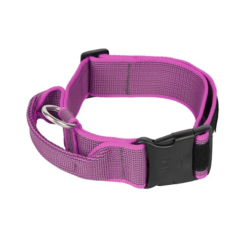 JULIUS-K9, 200HA-K-PN-2015 Color & Gray series-K9-Halsband mit Haltegriff, Sicherheitsverschluss und Logo und Sicherheitsverschluss, 50 mm*49-70 cm, verstellbar, pink-grau von JULIUS K-9